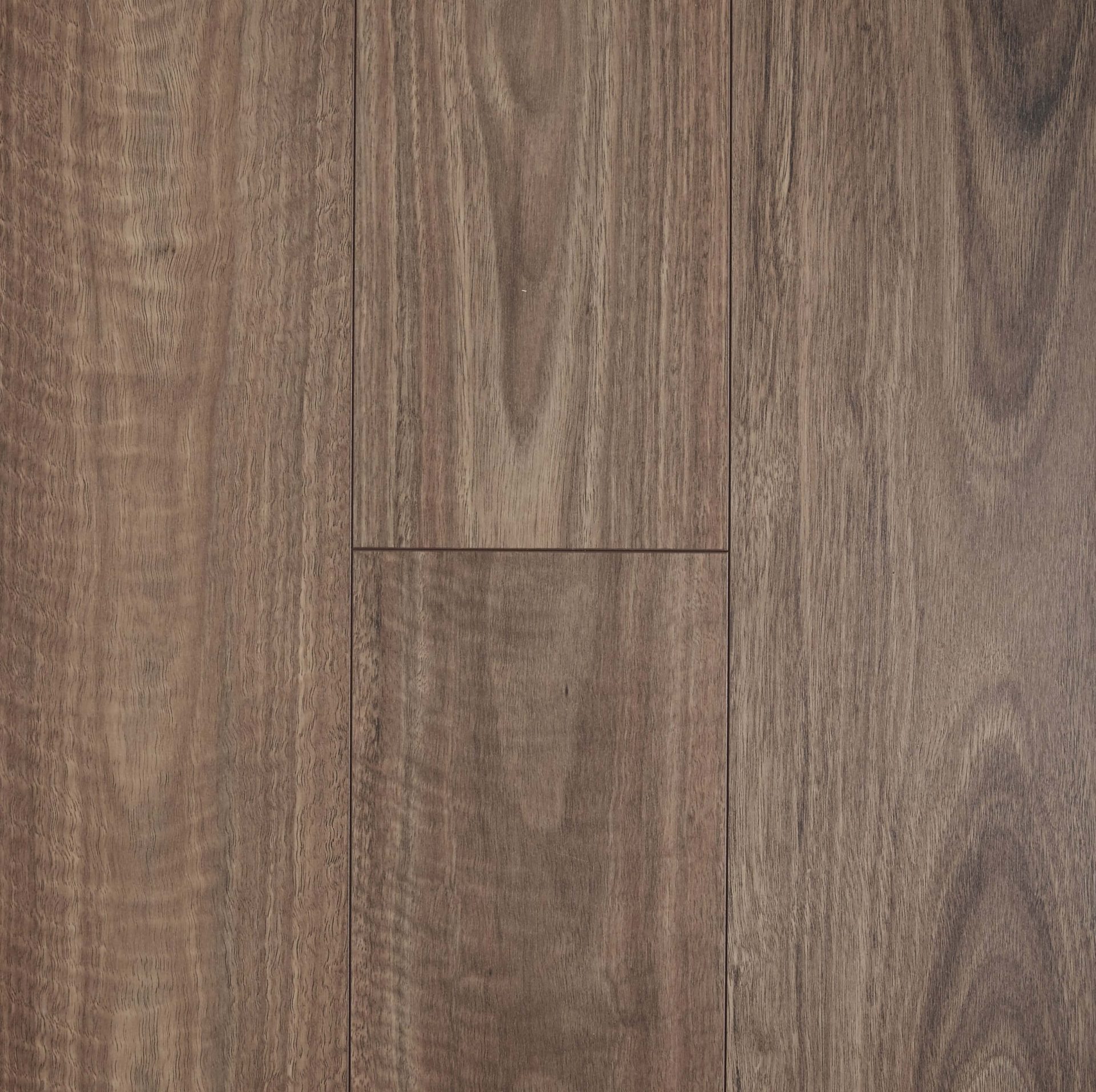 Spotted Gum