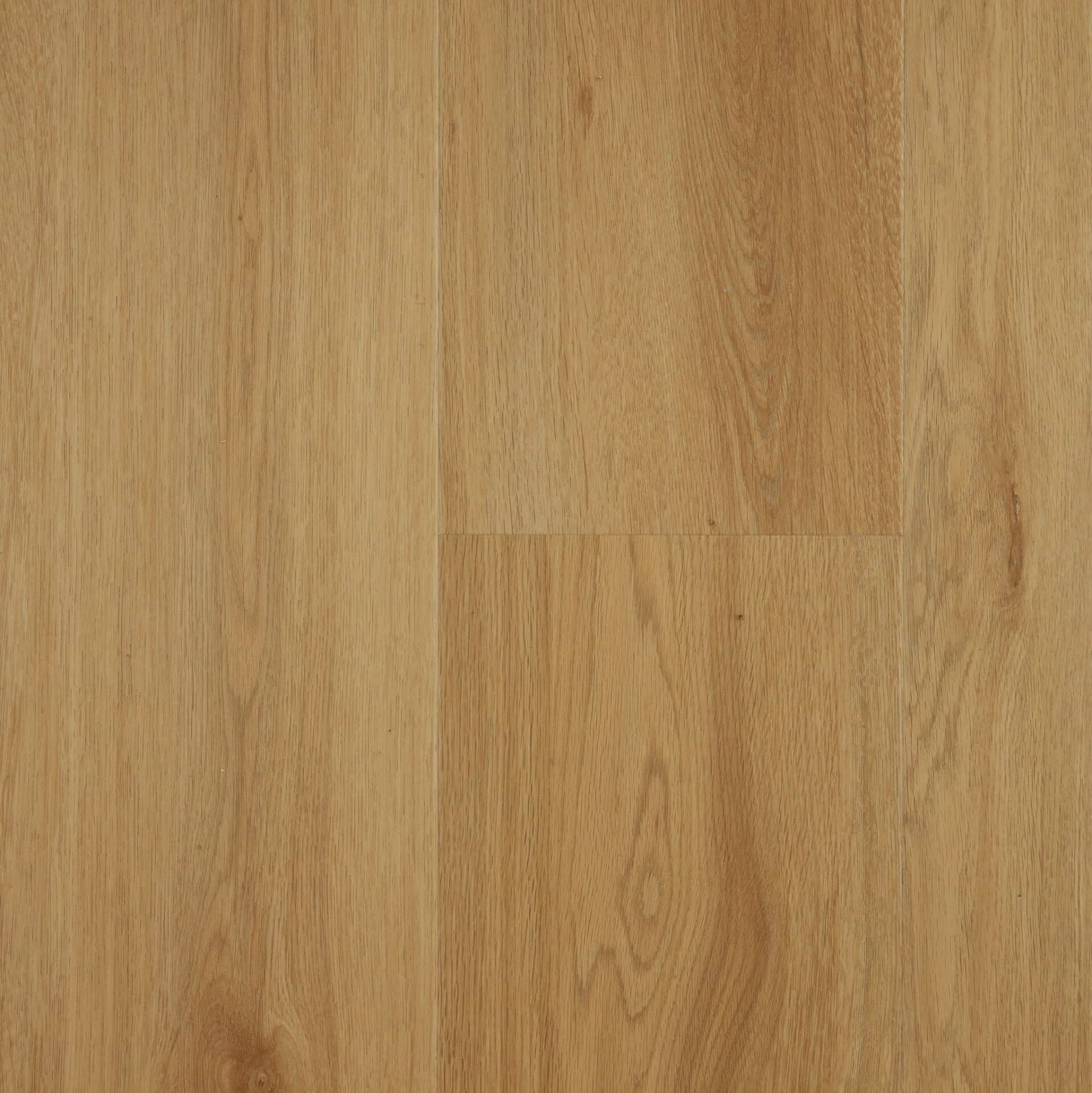 Mountain Oak