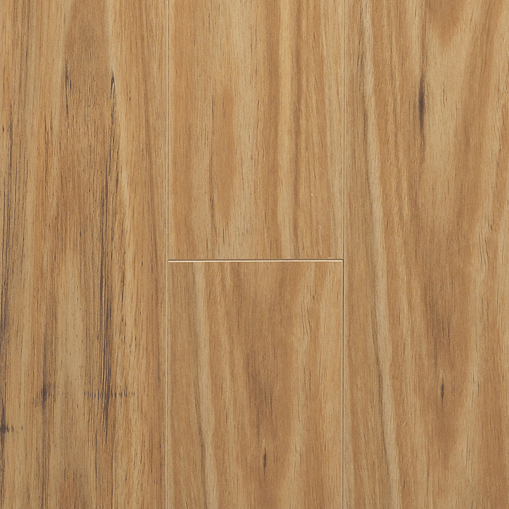 Blackbutt