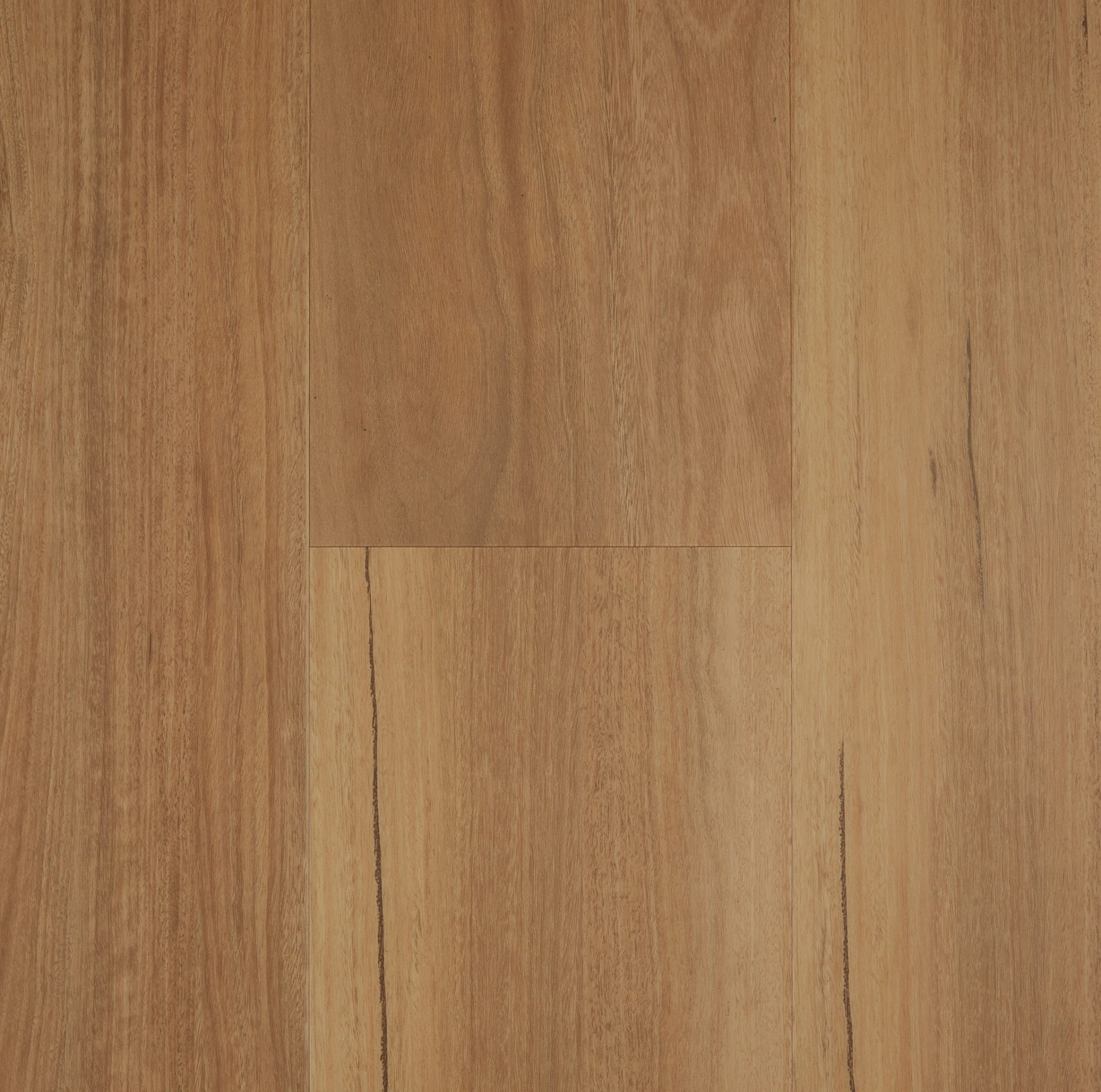 Classic Spotted Gum