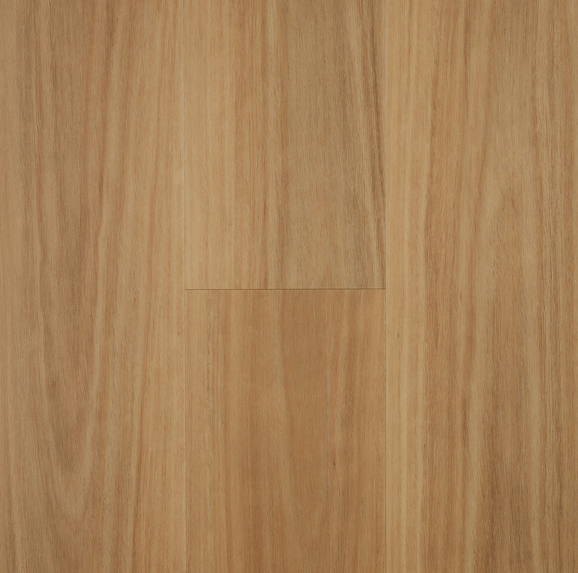 Blackbutt