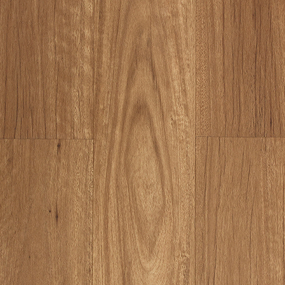 New England Blackbutt