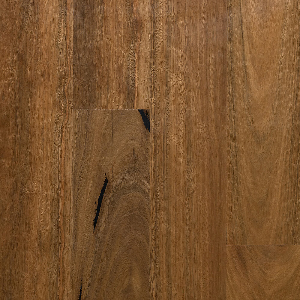 MB Spotted Gum