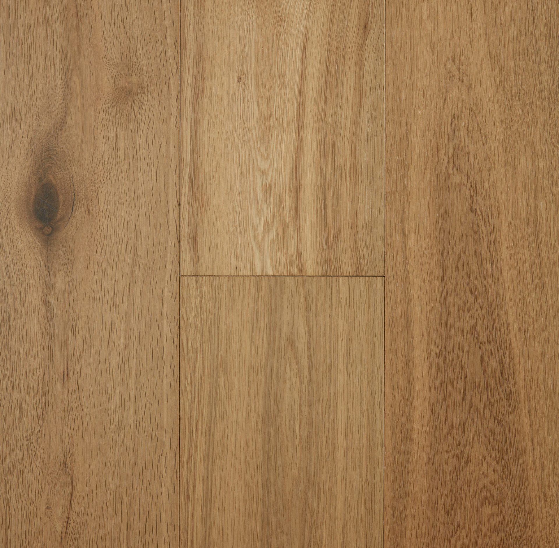 Swiss Brown