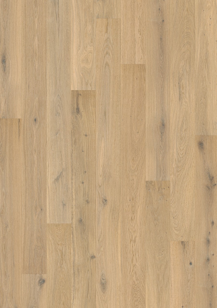 Pure oak extra matt - Image 2
