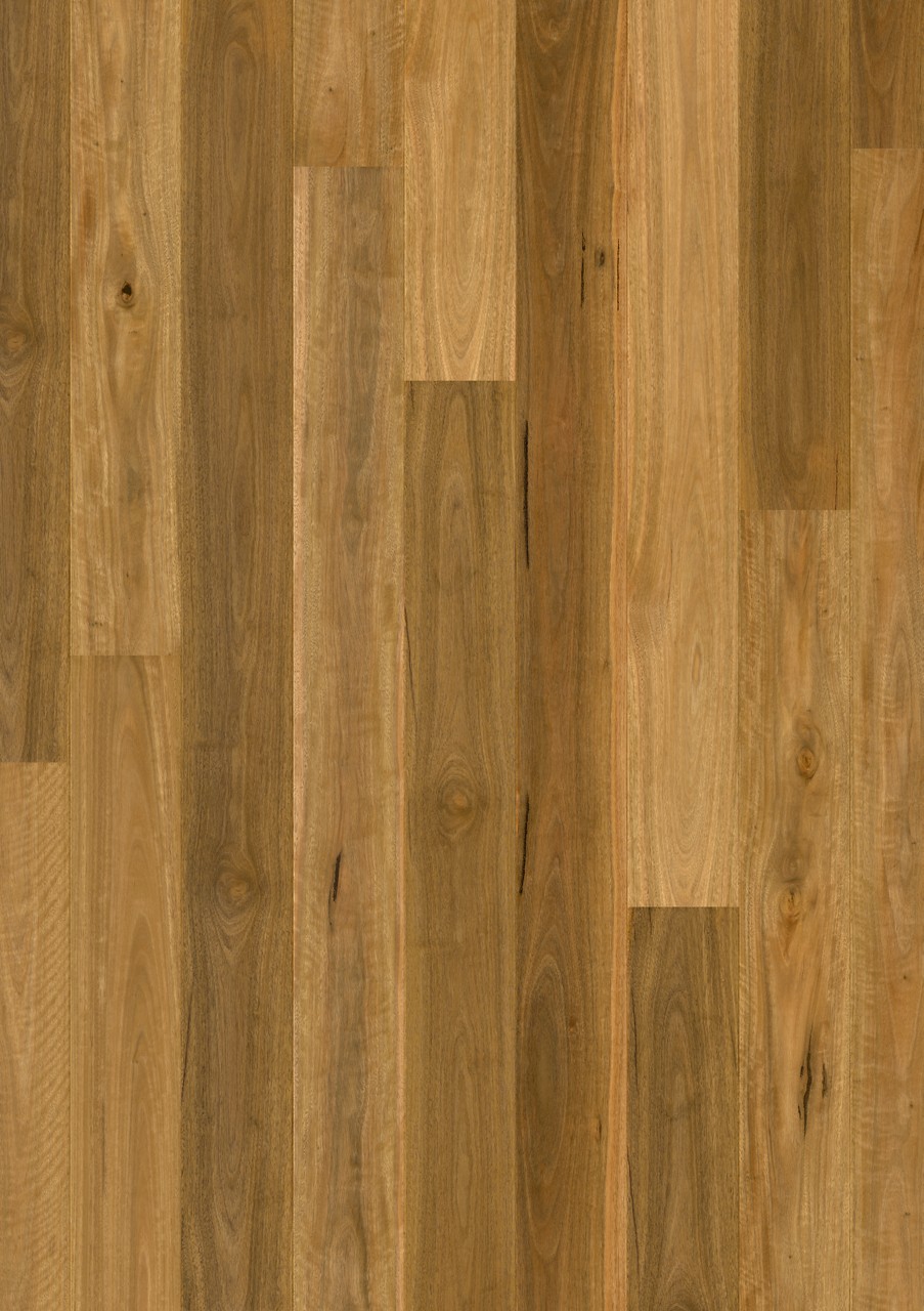Spotted gum 1 strip - Image 2