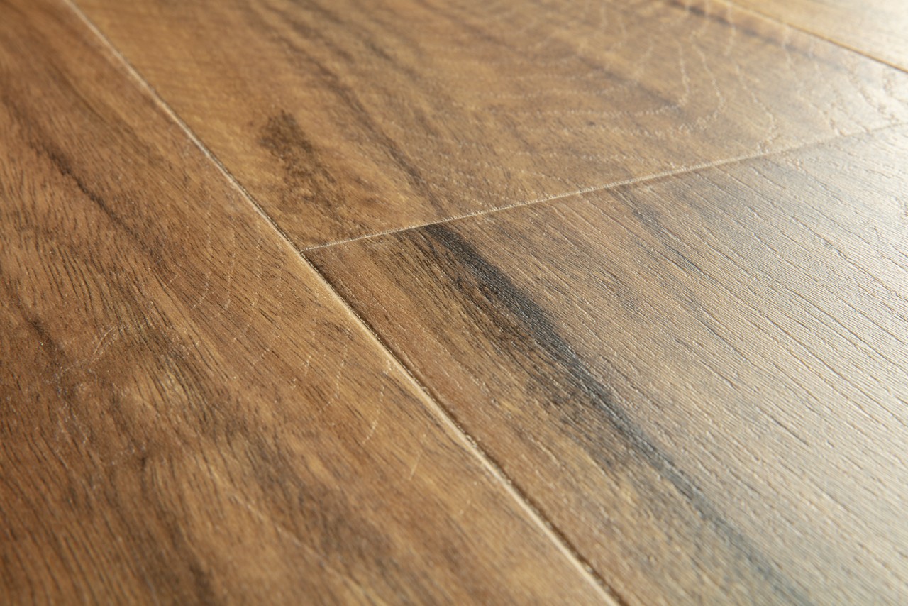 Spotted Gum - Image 2