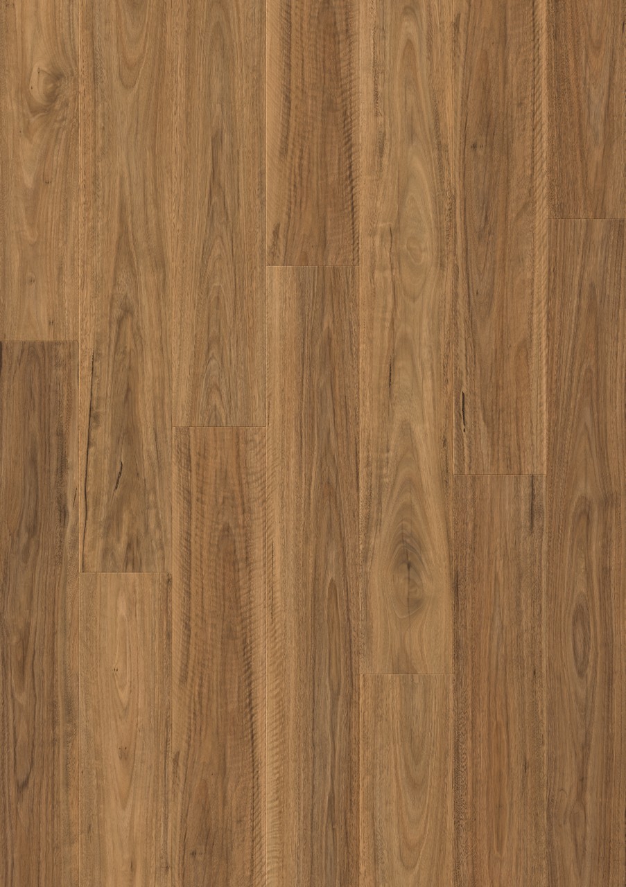 Spotted Gum - Image 3