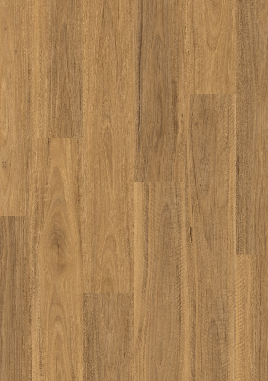 Classic Spotted Gum Light - Image 3