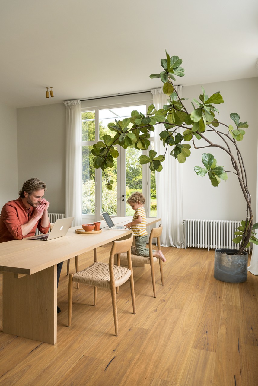 Pure spotted gum
