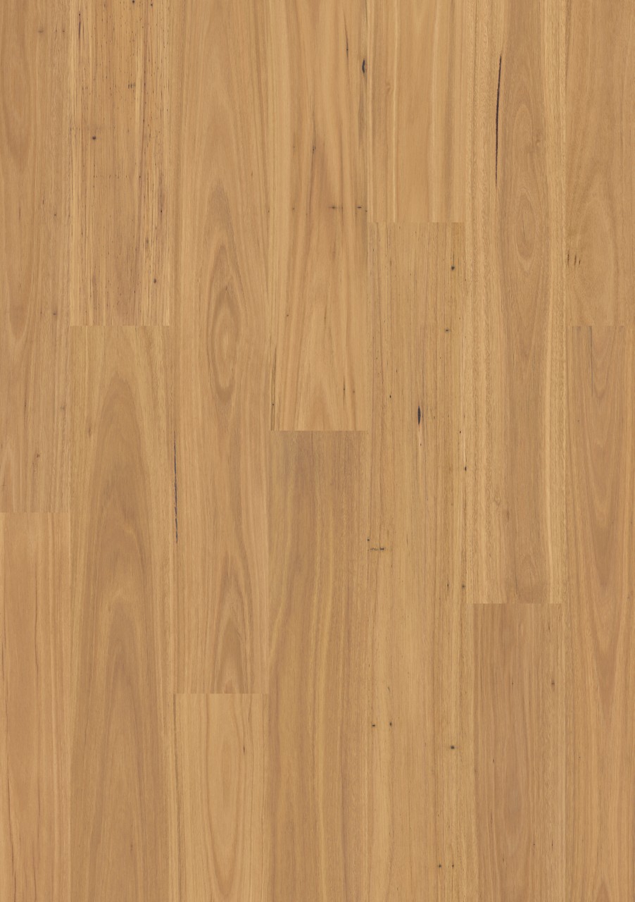 Pure blackbutt - Image 2
