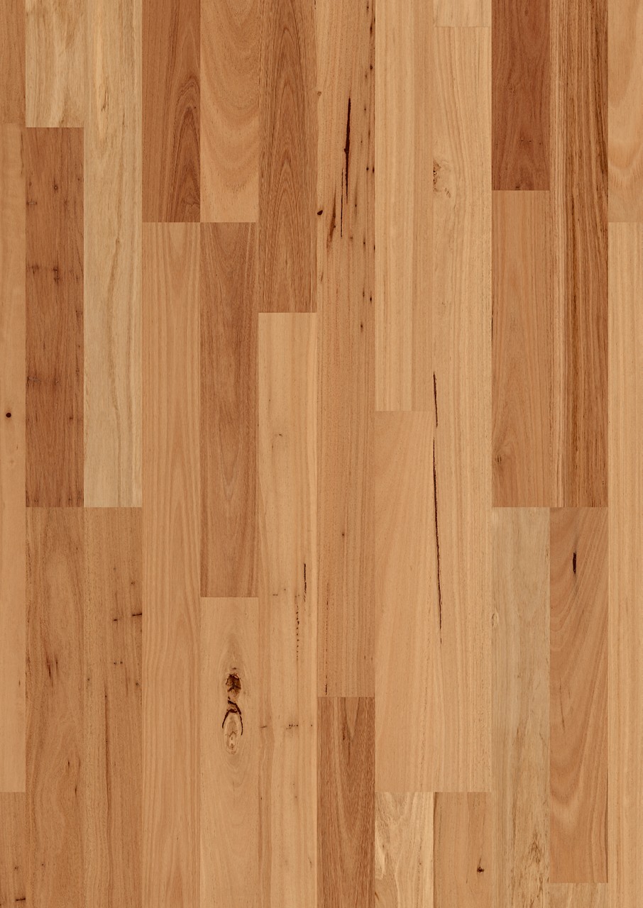 Blackbutt 2 strip high sheen