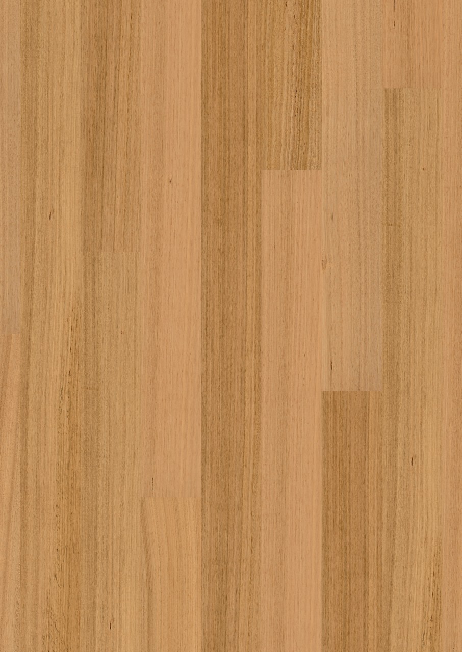 Tasmanian oak 1 strip matt brushed - Image 2