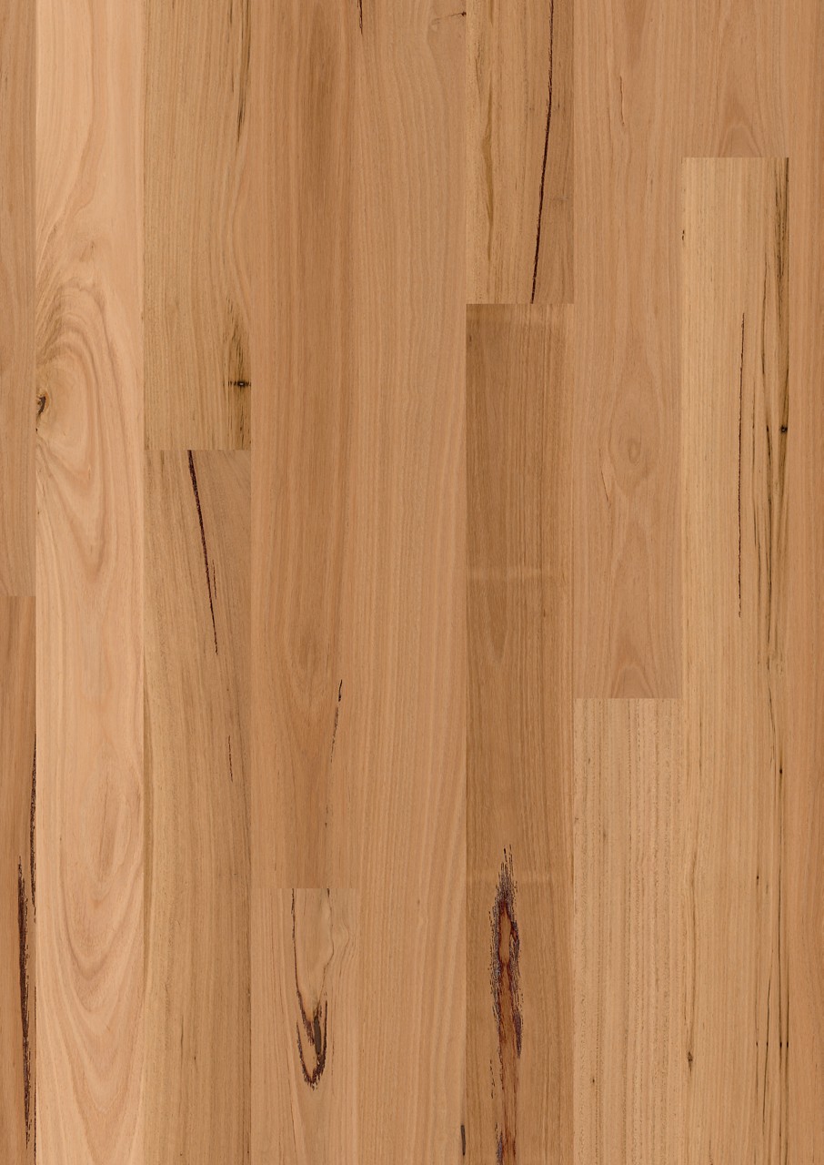Blackbutt 1 strip high sheen - Image 3