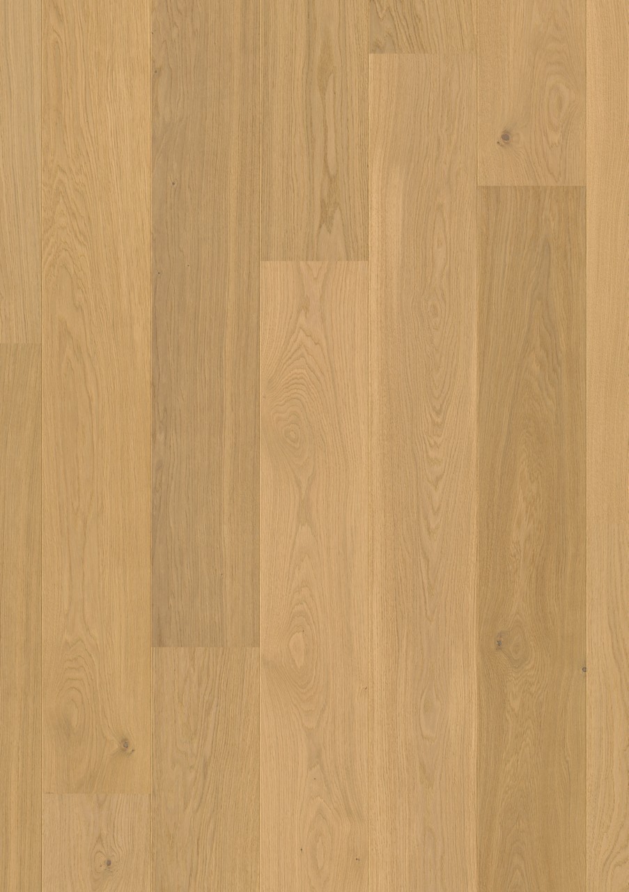 Pure oak extra matt - Image 9