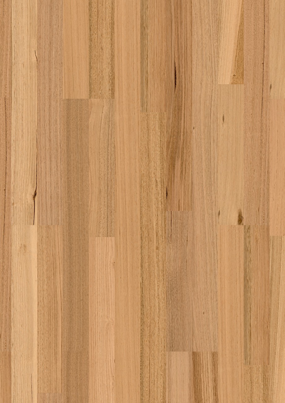 Tasmanian oak 2 strip matt brushed
