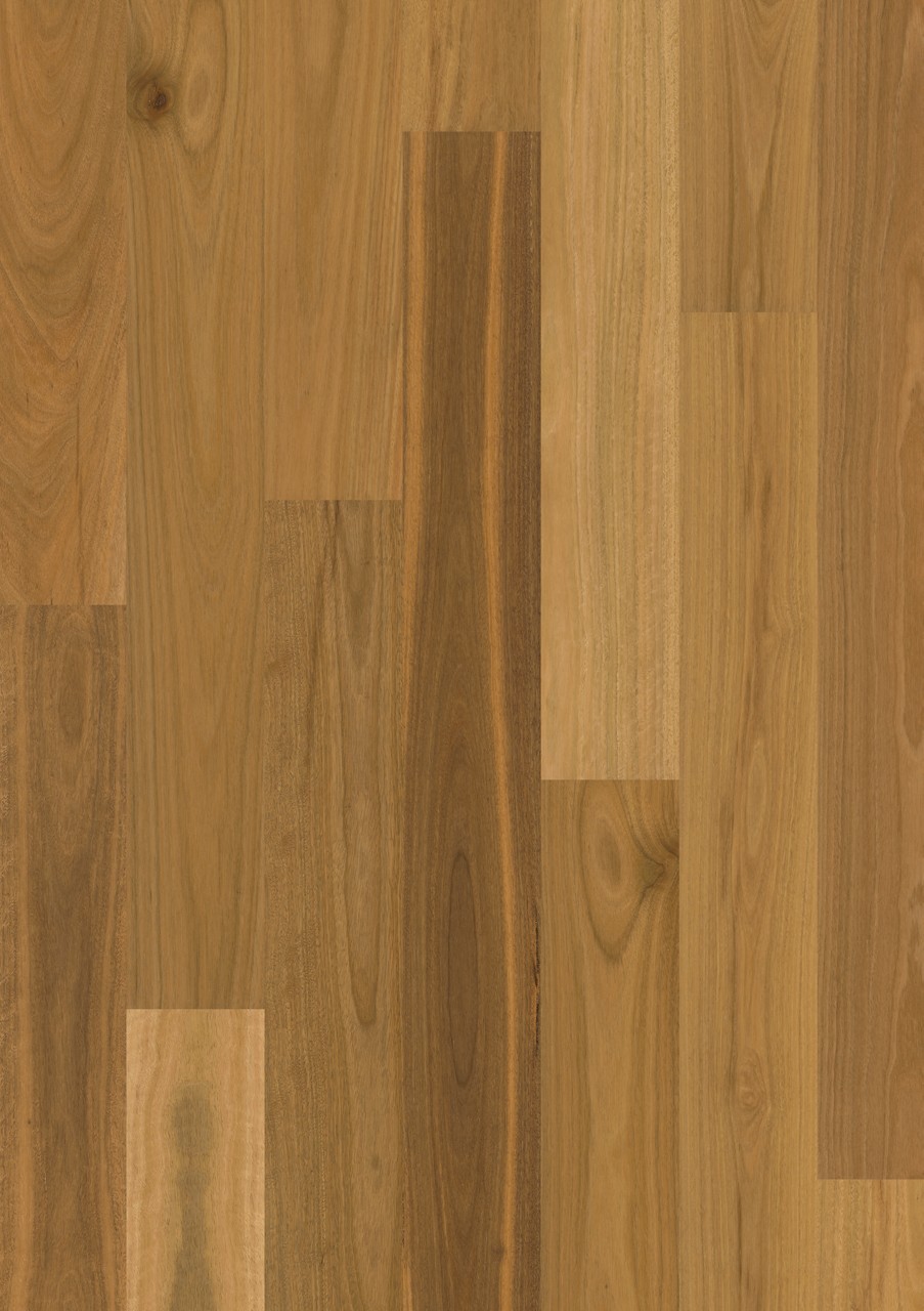 Brushed spotted gum 1 strip matt - Image 2